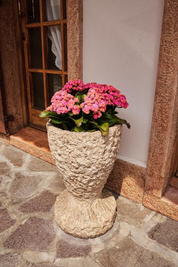 Ad Sidera Bed & Breakfast Pastrengo Bagian luar foto